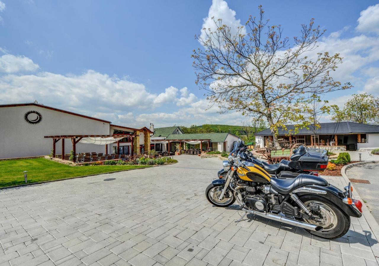 Penzion Tokaj Macik Winery B&B Mala Trna Bagian luar foto