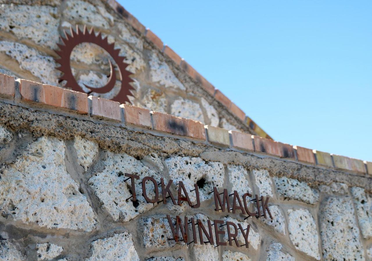 Penzion Tokaj Macik Winery B&B Mala Trna Bagian luar foto