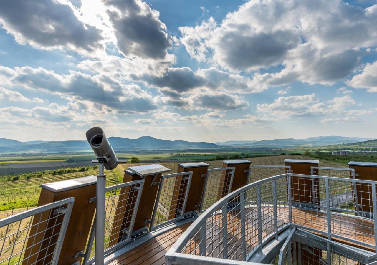 Penzion Tokaj Macik Winery B&B Mala Trna Bagian luar foto