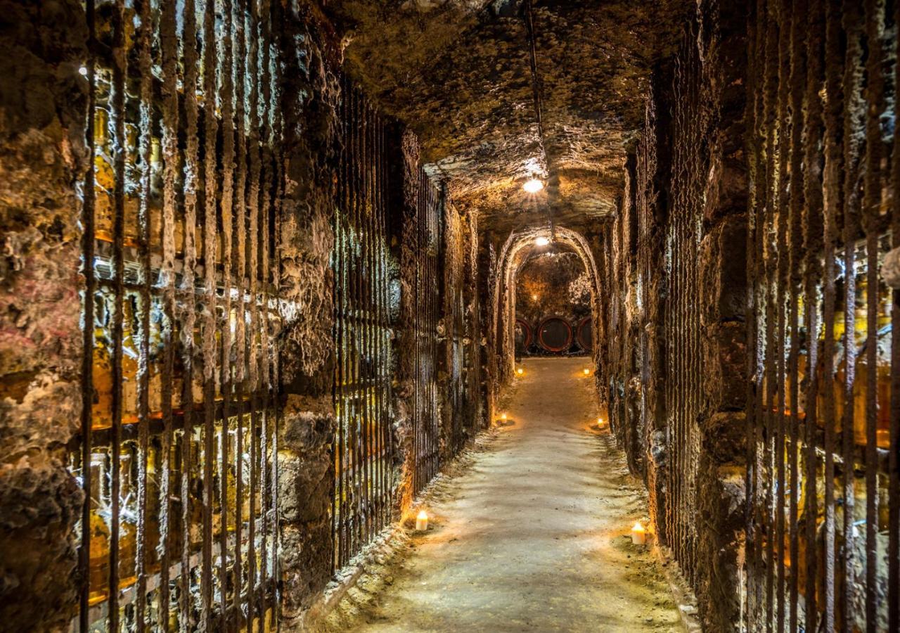 Penzion Tokaj Macik Winery B&B Mala Trna Bagian luar foto